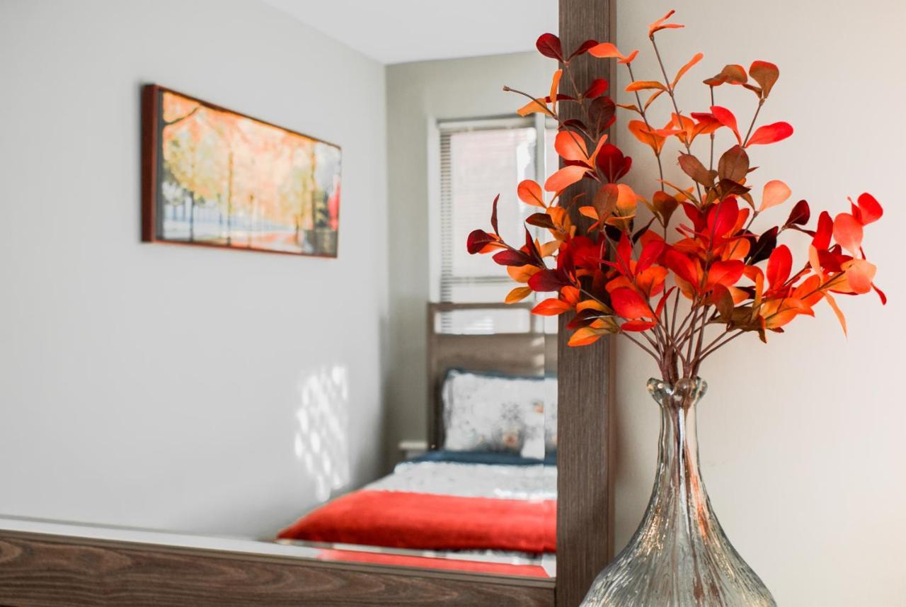 Lovely 2Br Apartment By Wooster Square- Great Neighborhood New Haven Exteriér fotografie